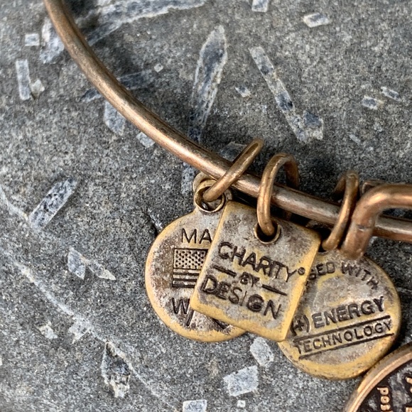 Alex and Ani | Positive Energy Bracelet - Picture 3 of 3